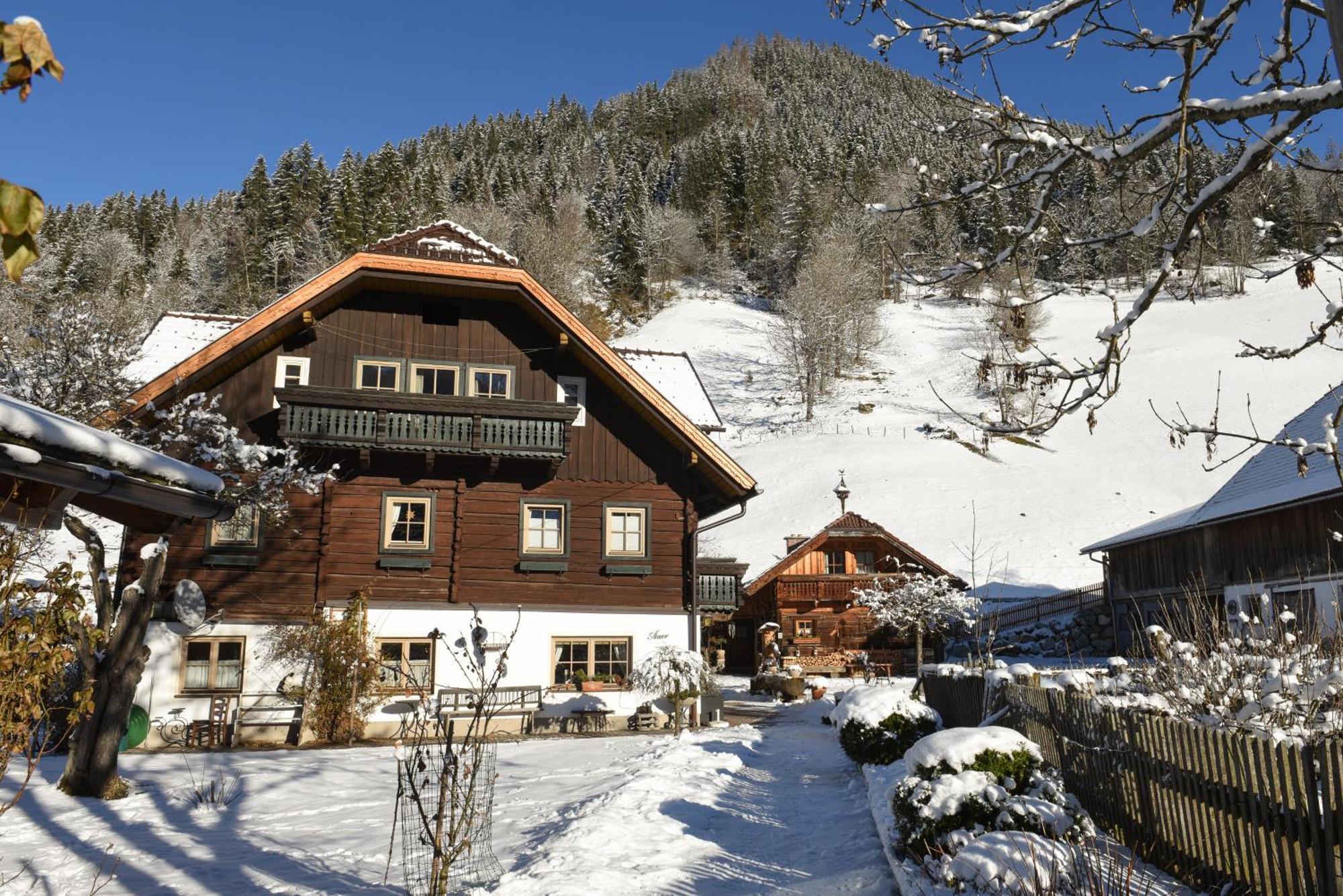 Auerhof Villa Schladming Exterior photo