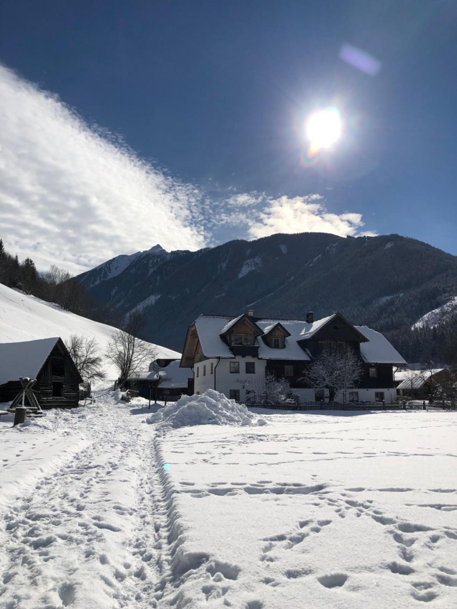 Auerhof Villa Schladming Exterior photo